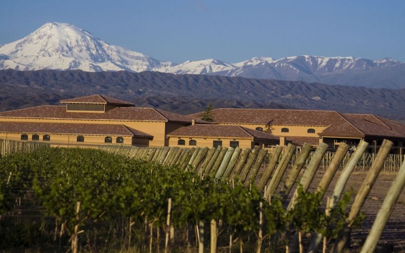 finca-decero-vinicola-bodega-mendoza-argentina.jpg