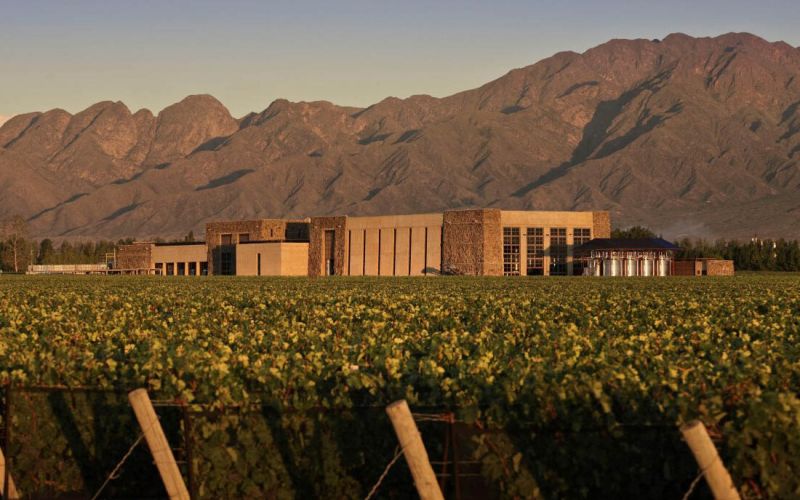 vinicola-bodega-septima-mendoza-argentina.jpg